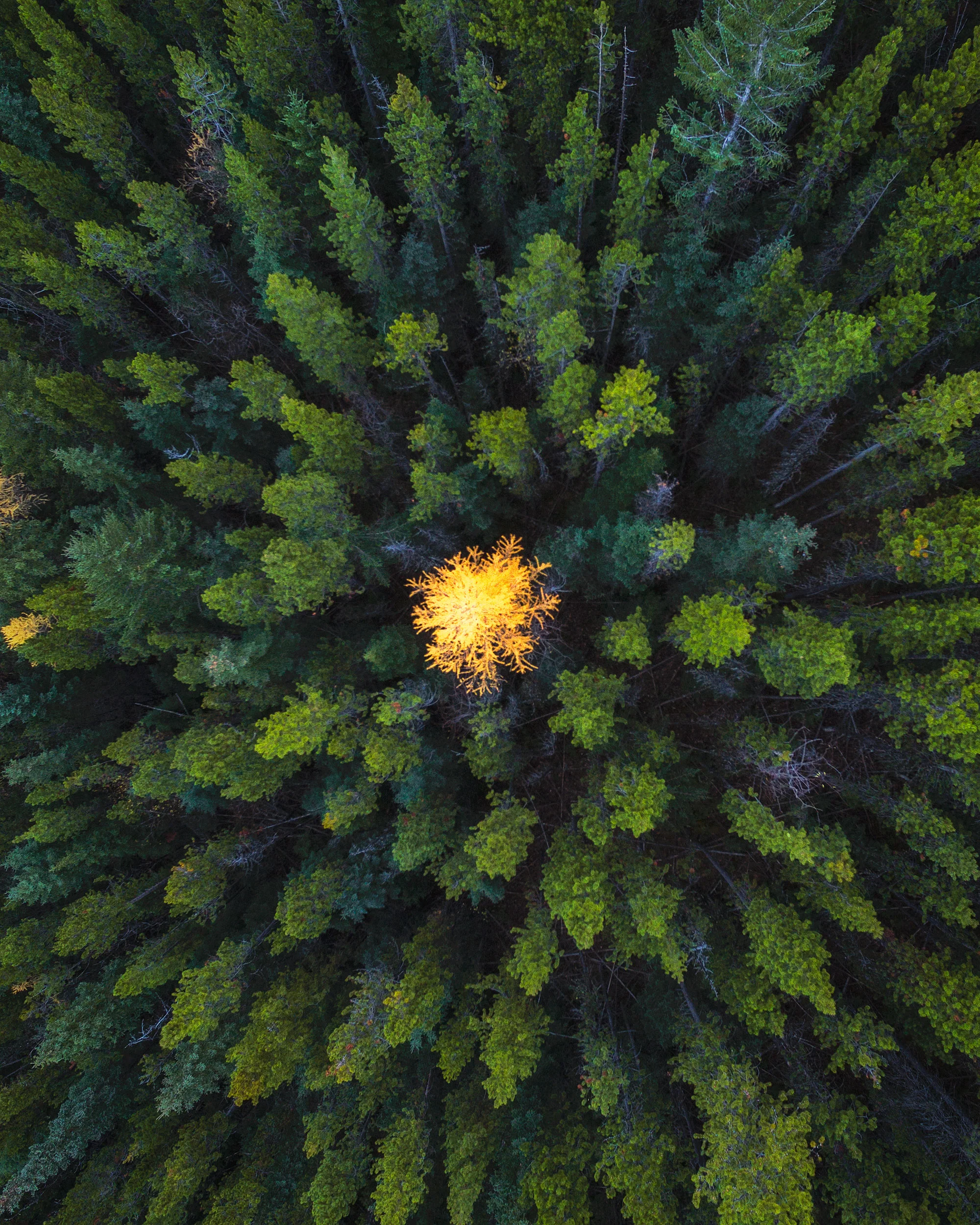 Last of Fall at Chinook Lake in Alberta by Drone by Michael Matti.jpg