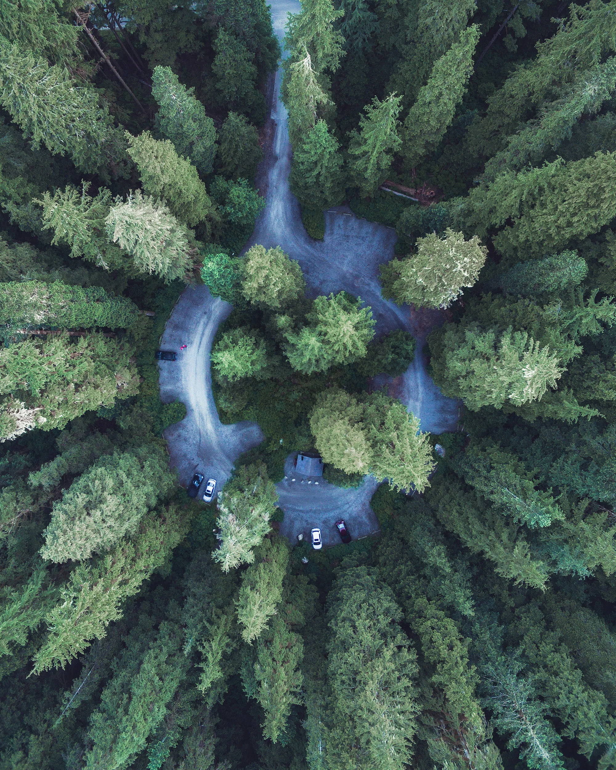 Lake 22 trailhead by drone 2 by Michael Matti.jpg