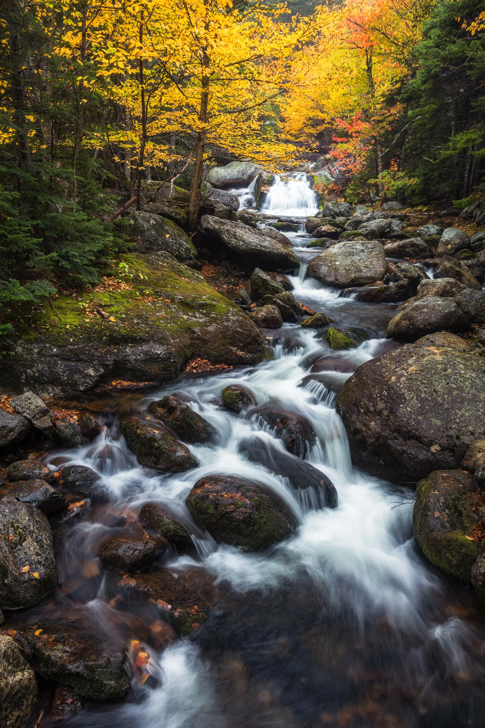 Small Cascade near Crystal Cascade Fall in New Hamsphire by Michael Matti.jpg