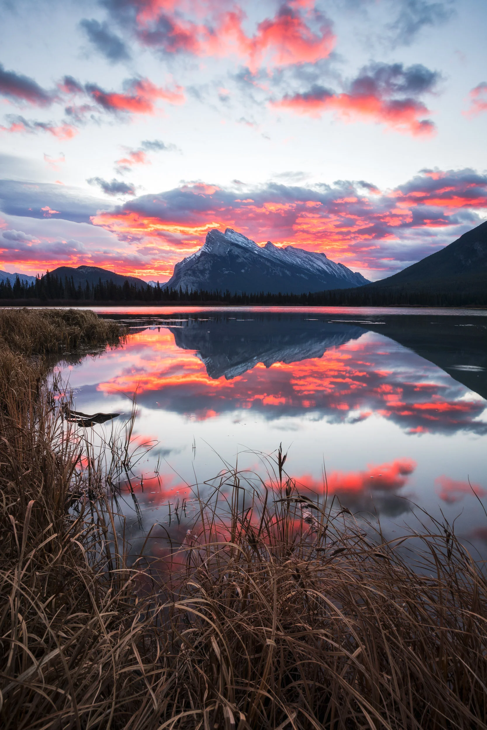 Sunrise at Vermillion Lakes by Michael Matti.jpg