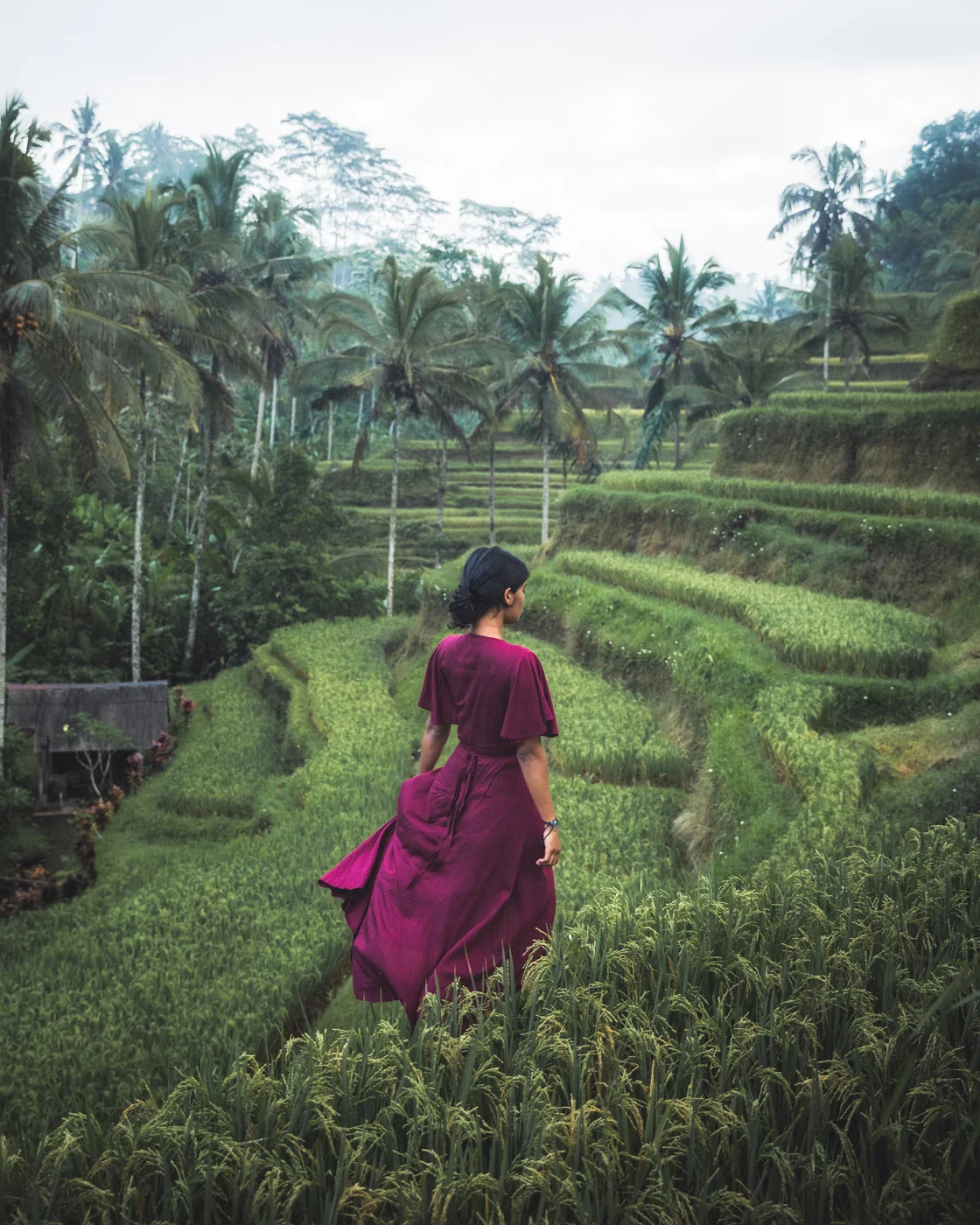Priya at Tegalallang Rice Terraces by Michael Matti.jpg