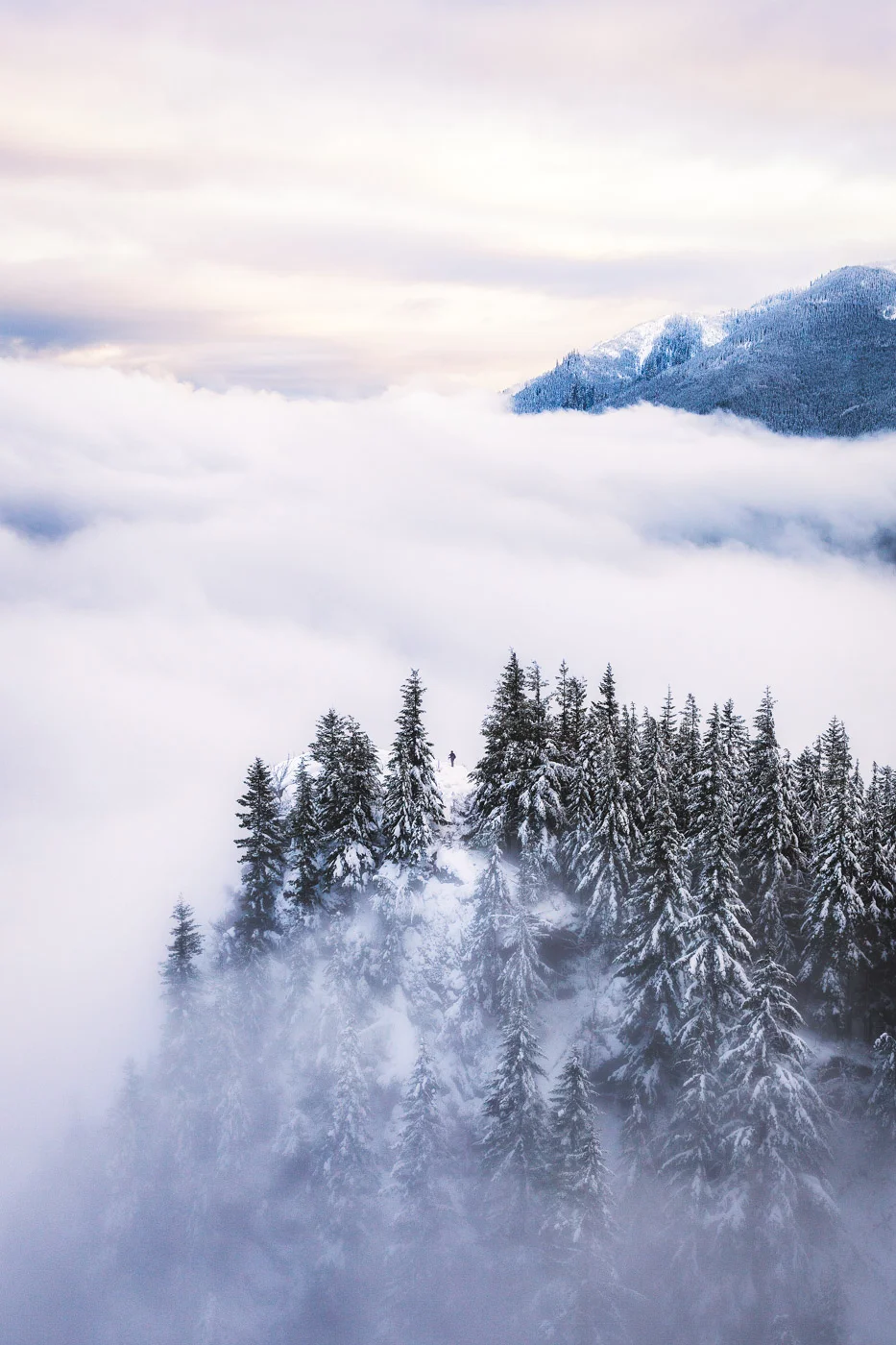 Rattlesnake Ledge Sunset in the snow by Michael Matti.jpg