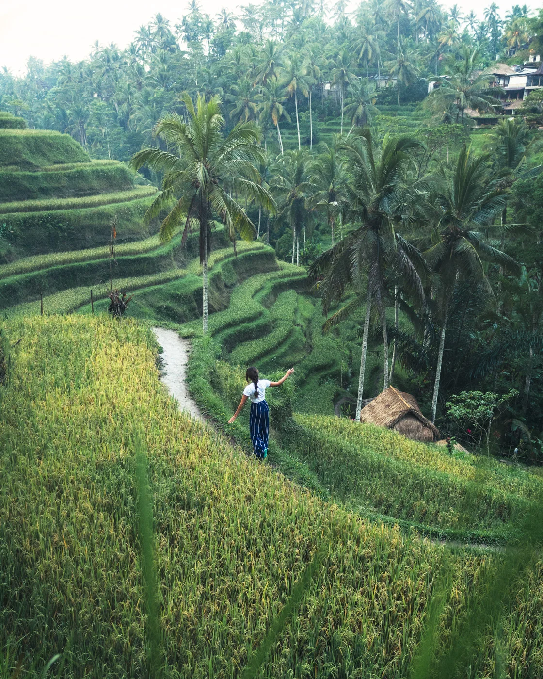 Tegallalang Rice Terraces near Ubud Bali with Chelsea by Michael Matti.jpg