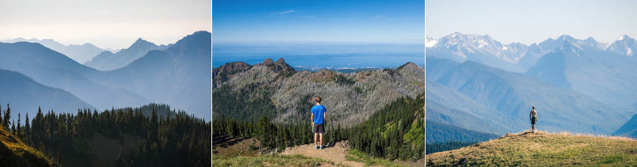 3.2 miles RT - 650ft of gain. After the drive up to Hurricane Ridge, this short hike is the perfect way to stretch your legs. From the top you can see out over the Olympic Mountains as well as over the city of Port Angeles and even out to Vancouver Island. WTA link: https://www.wta.org/go-hiking/hikes/hurricane-hill AllTrails link: https://www.alltrails.com/trail/us/washington/hurricane-hill-via-hurricane-ridge