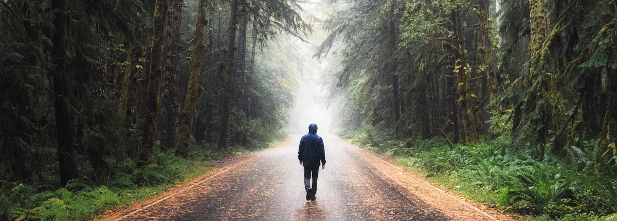 HikeOlympic walking Moody forest roads on the Olympic Peninsula in Washington by Michael Matti.jpg