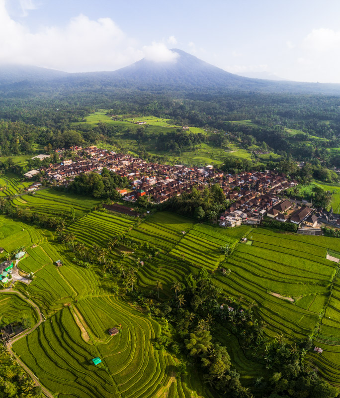 Jatiluwih Rice Terraces in Bali by drone 2 by Michael Matti.jpg