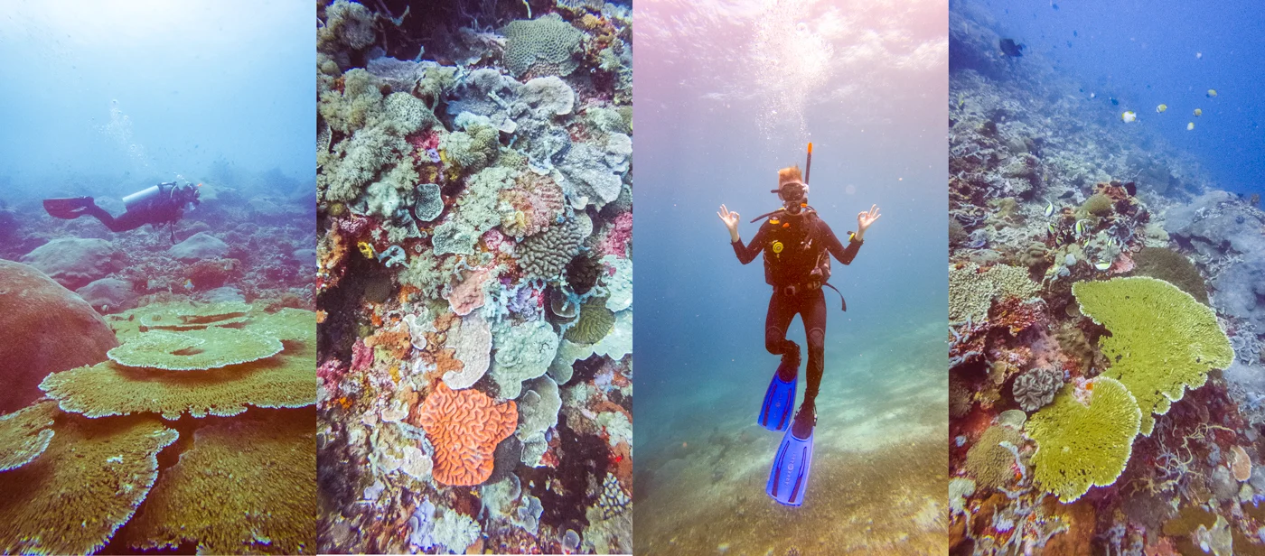 Diving-in-Bali-by-Michael-Matti.jpg