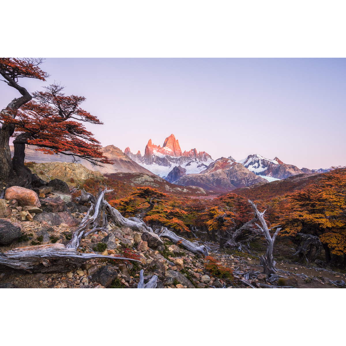Fitz Roy at sunrise in Argentina in the fall by Michael Matti.jpg