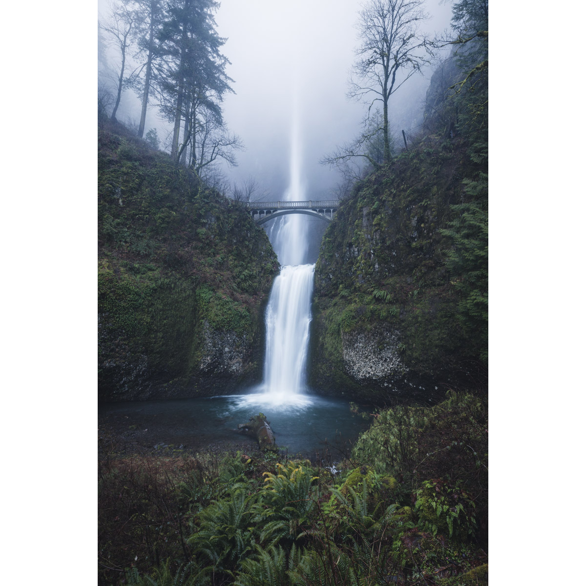 Multnomah Falls in Oregon by Michael Matti.jpg