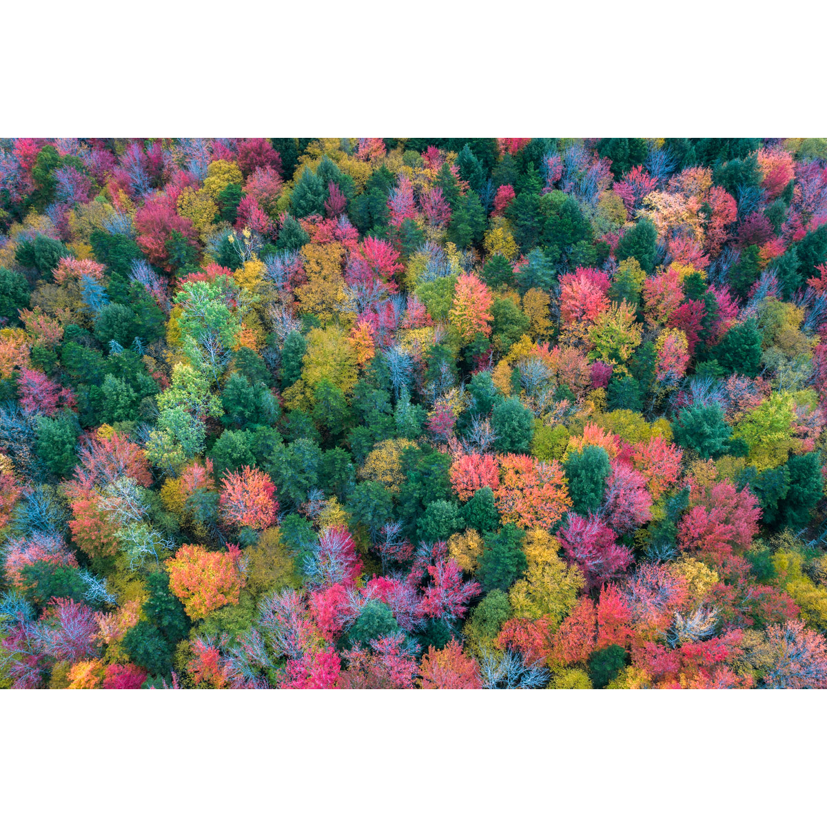 New Hamphire Fall Colors by drone 14 by Michael Matti.jpg