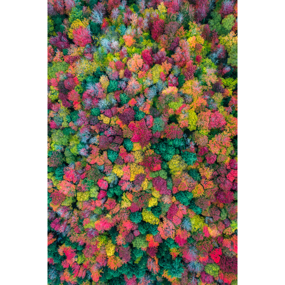 New Hamphire Fall Colors by drone by Michael Matti.jpg
