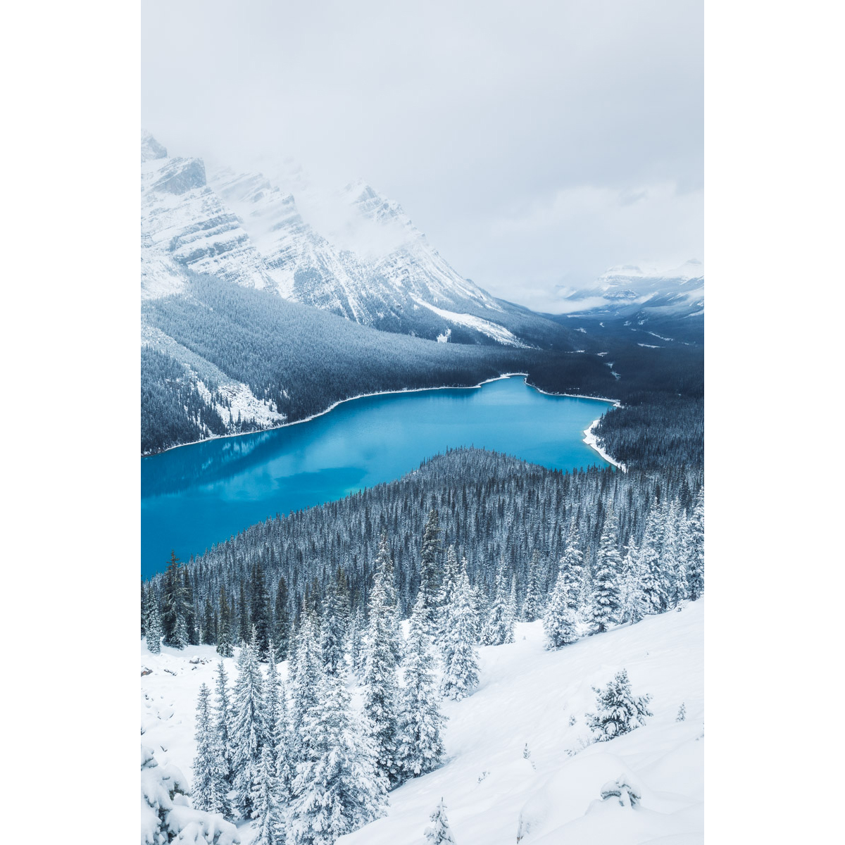 Peyto Lake in the snow 2 by Michael Matti.jpg