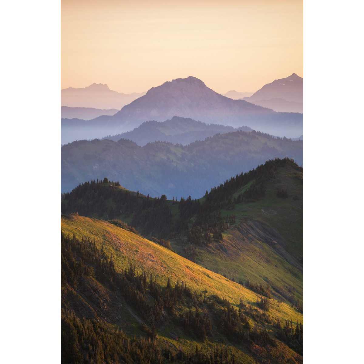Skyline Divide Sunrise in Washington by Michael Matti.jpg