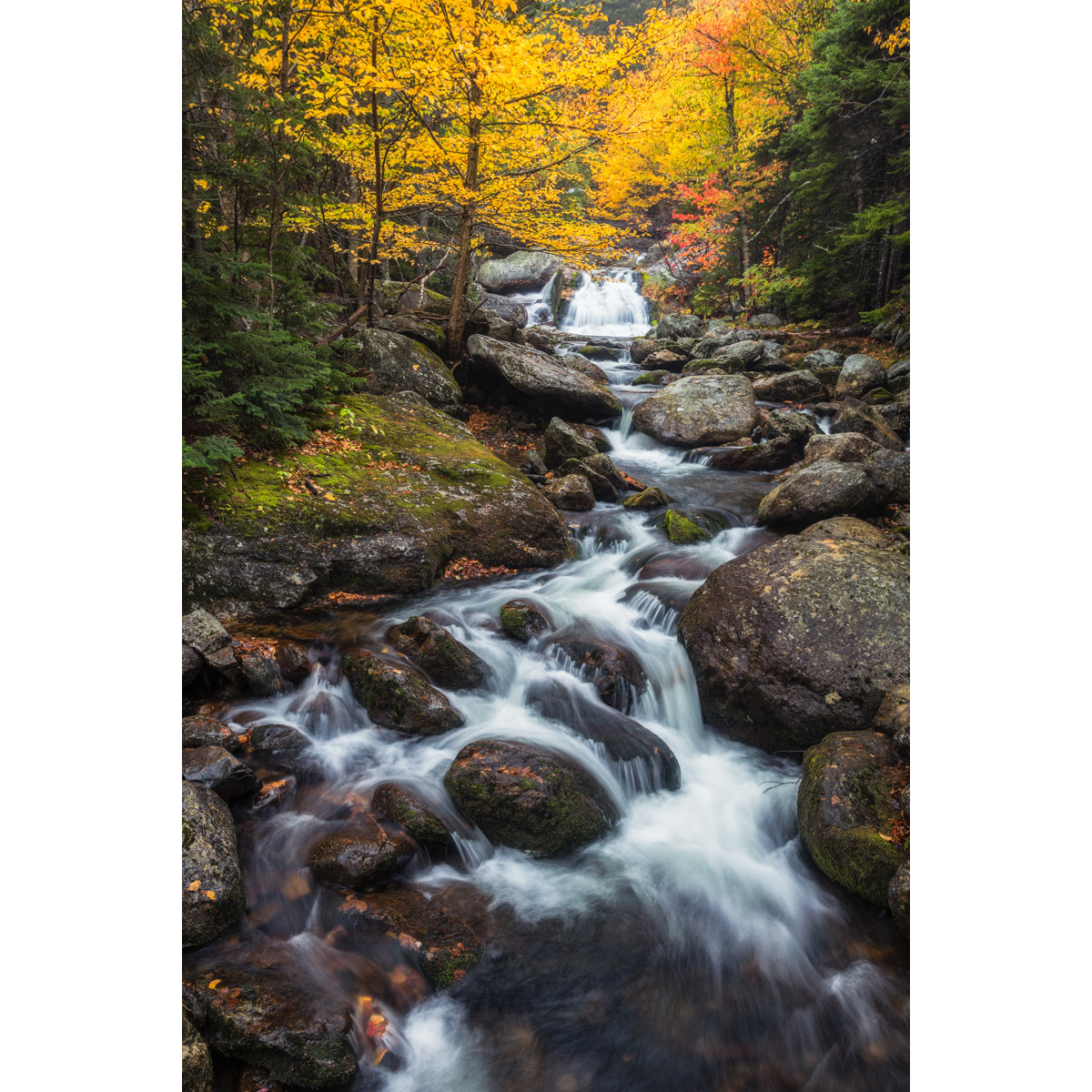 Small Cascade near Crystal Cascade Fall in New Hamsphire by Michael Matti.jpg