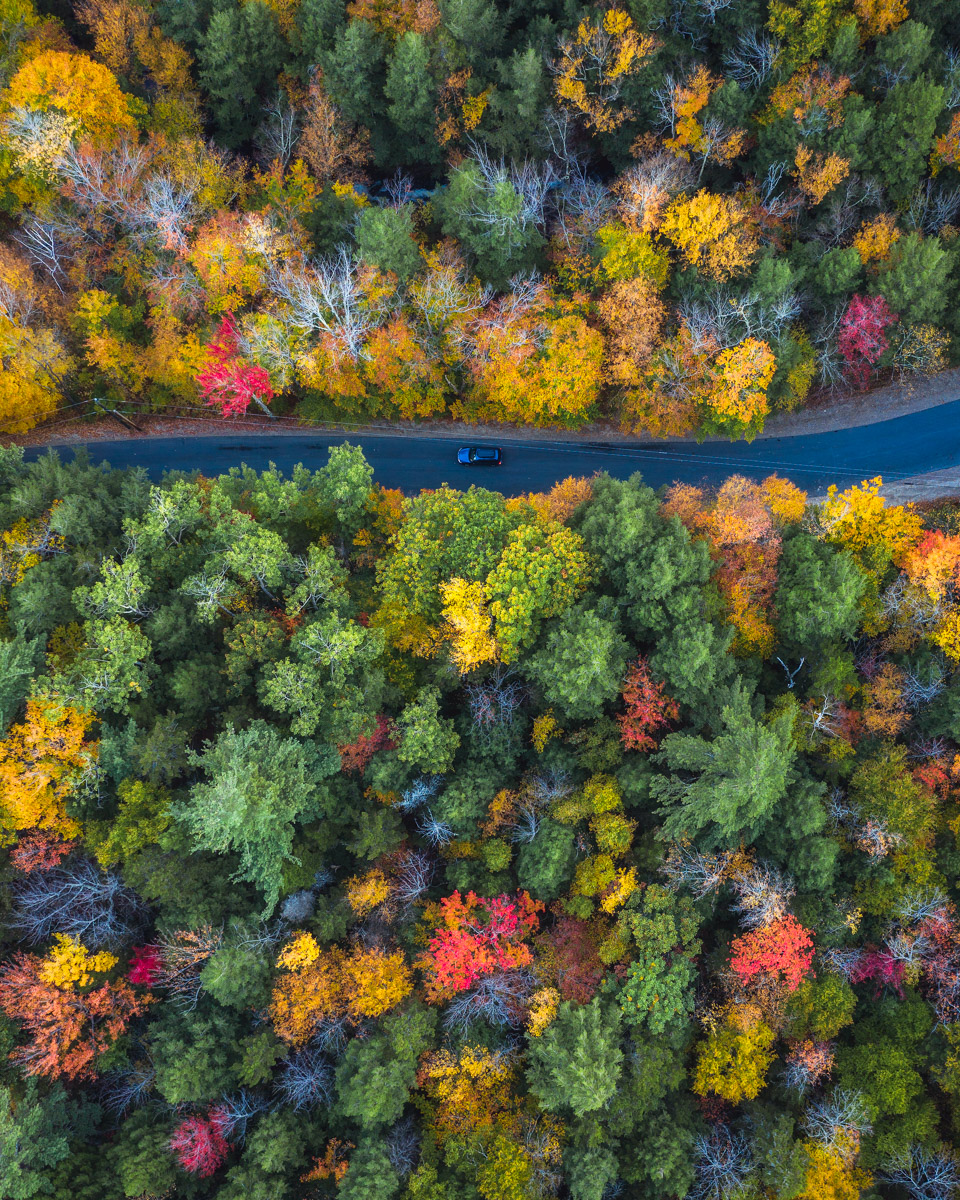 Visit New Hampshire fall colors 2018 by michael matti-13.jpg