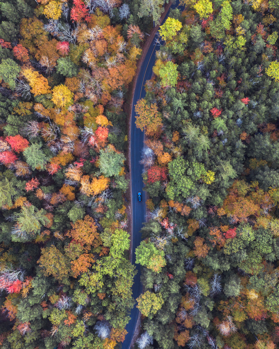 Visit New Hampshire fall colors 2018 by michael matti-14.jpg