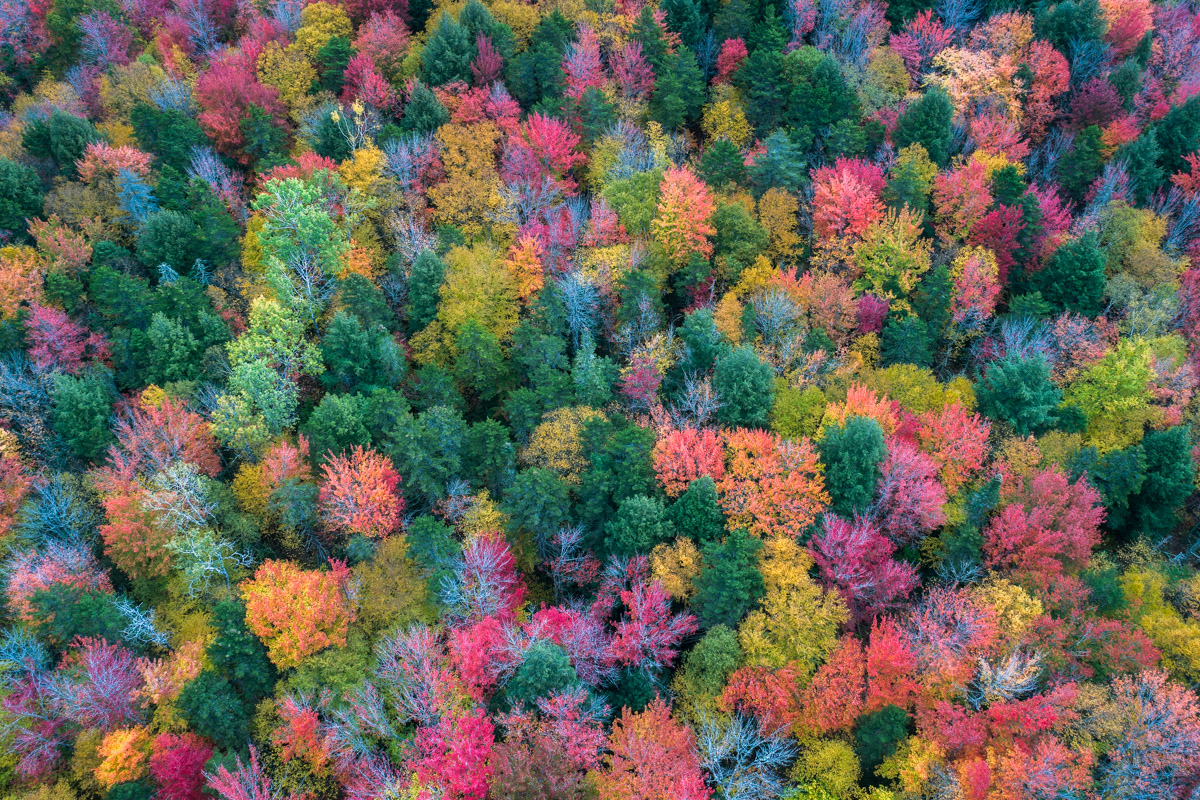 Visit New Hampshire fall colors 2017 by michael matti-12.jpg