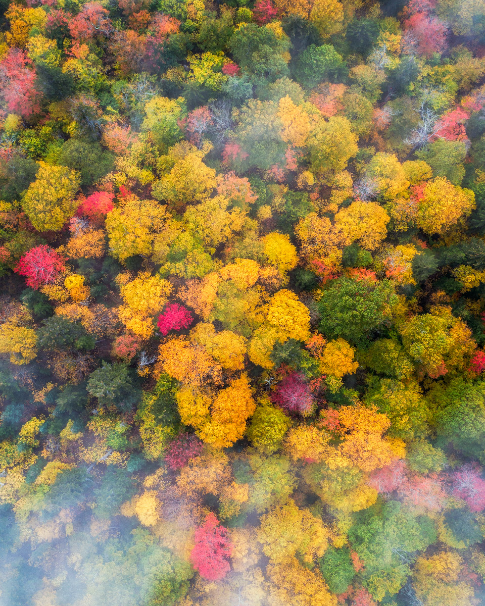 Visit New Hampshire fall colors 2017 by michael matti-19.jpg