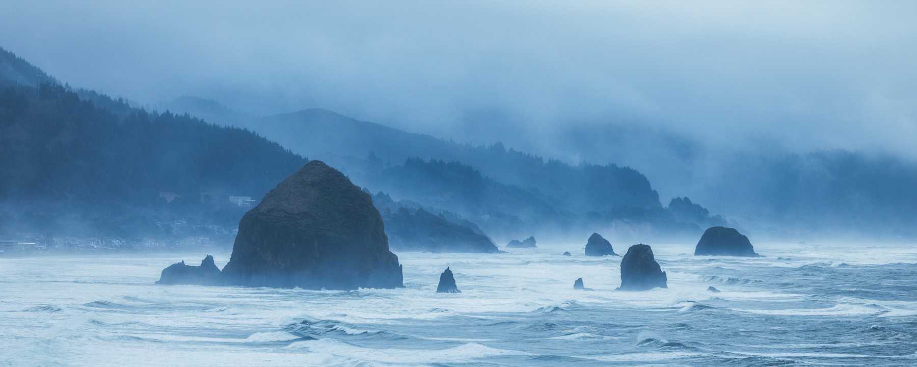 Cannon Beach from Ecola State Park on the Oregon coast 2 by Michael Matti.jpg