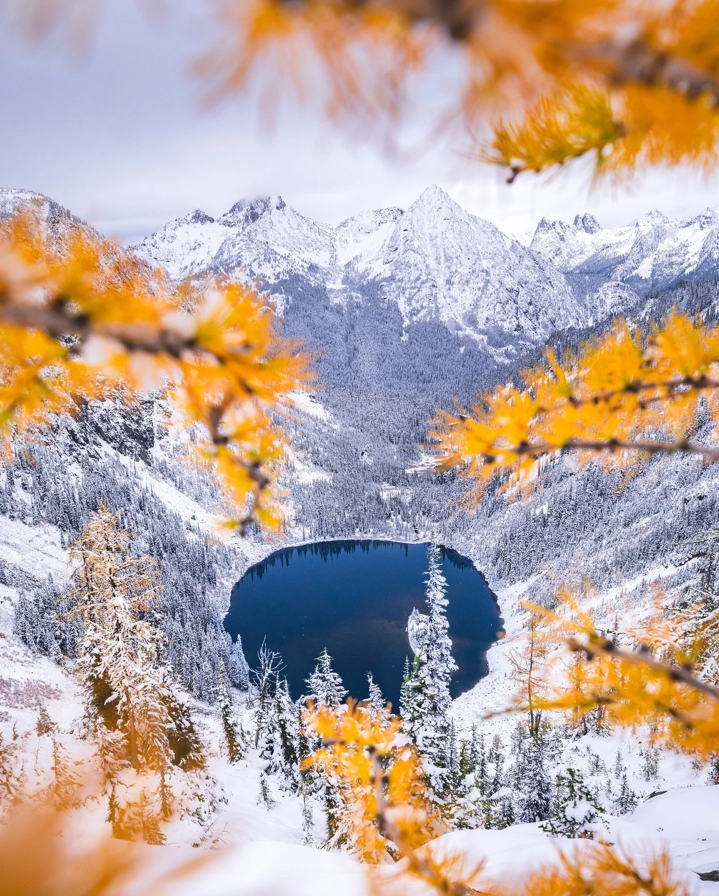 A change of seasons 🍂❄️
I feel like every time I go on a trip this time of year and come back to Washington, the weather shifts so drastically. 
From fall to winter, spring, and summer, Washington certainly changes a lot throughout the year.
