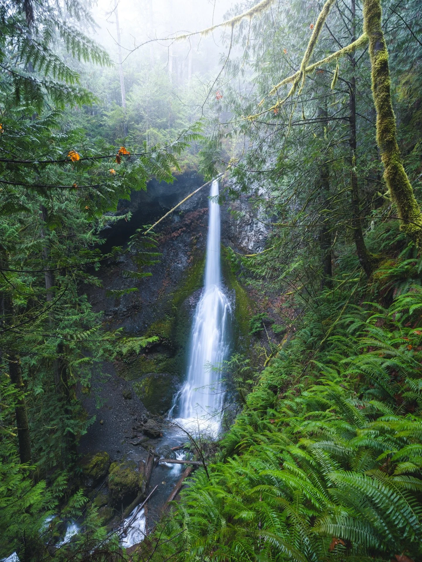 This hike is one of my favorite stops on any trip out to the Olympic Peninsula. At 1.8 miles roundtrip with 318ft of gain, it is a good place to stretch your legs and get some fresh air in the beautiful forest. 

📍 Marymere Falls, Olympic National P