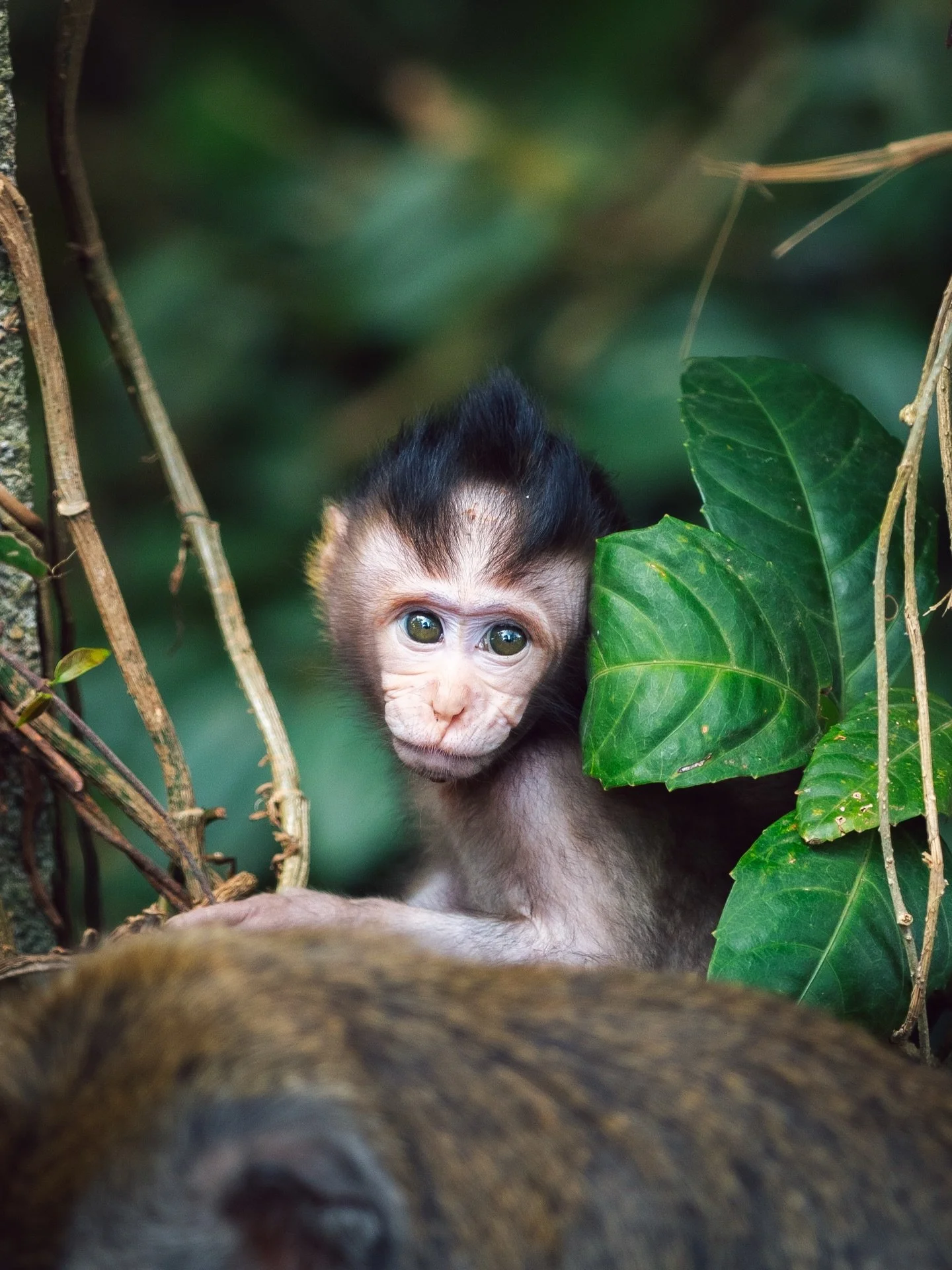 Sometimes I forget how wild this planet actually is.
Here are 20 of my favorite wildlife moments.