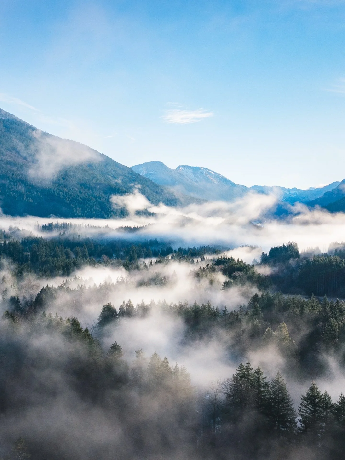 Early morning fog in the valley above the Skykomish River in Washington. 
I love when you wake up to thick fog and then get to watch the light of day slowly burn it off, creating unique clusters of fog like this. 

PNW | Washington State | Mountains 