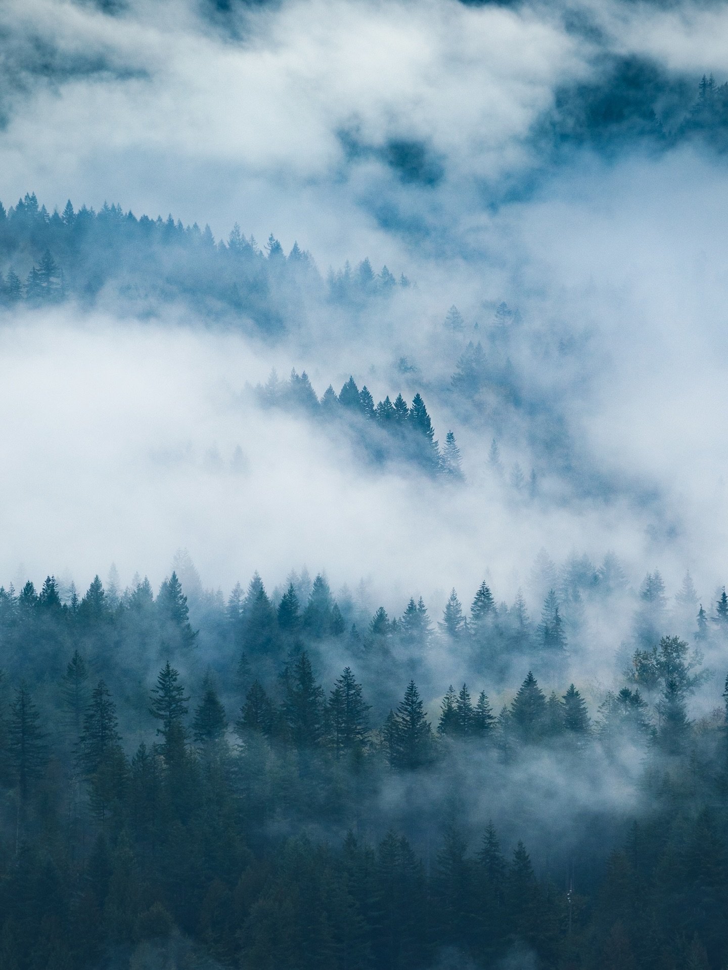 Foggy weather at a classic Seattle area hike, Rattlesnake Ledge. 

I feel like this time of year in Washington is so hit or miss, one day it&rsquo;s spring, and the next its back to rainy winter 🌧️🌲🌲☁️