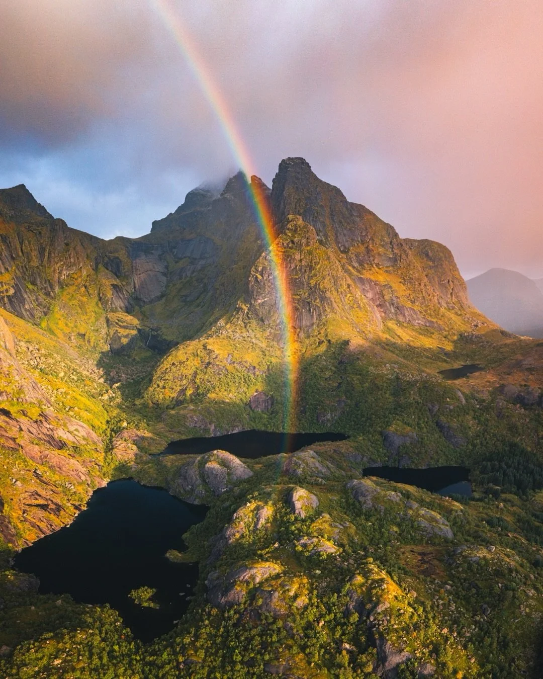 Colors of the rainbow 🌈 
ROYGBIV

What a privilege it is to experience a world so full of life and color 🙏