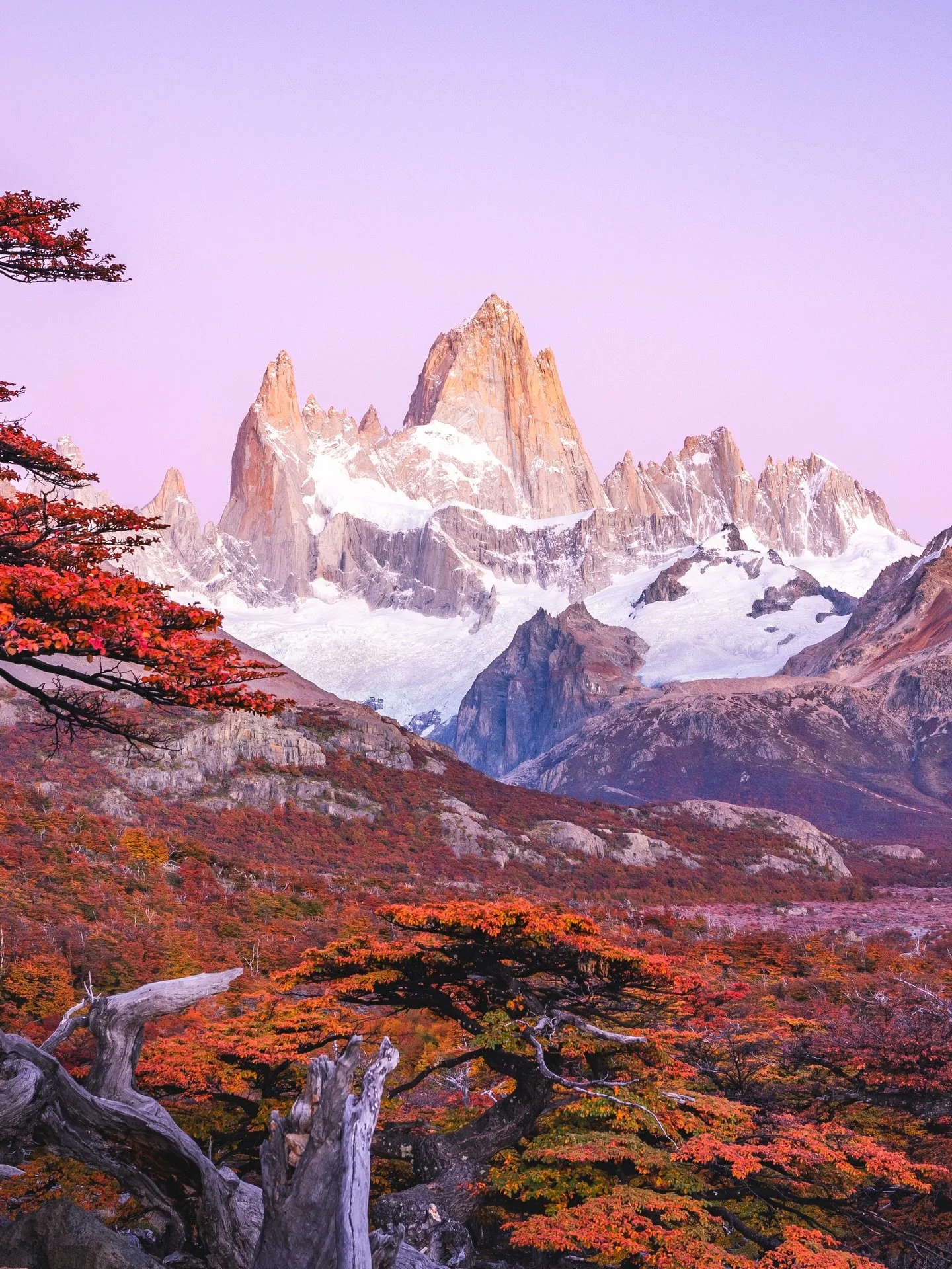 Fall in Patagonia 🏔️🇨🇱🇦🇷🍂 

If I could pick one place in the world to be in mid-April, it would definitely be Patagonia. The weather is certainly unpredictable this time of year, but wow, are the fall colors there incredible! 10/10 would recomm