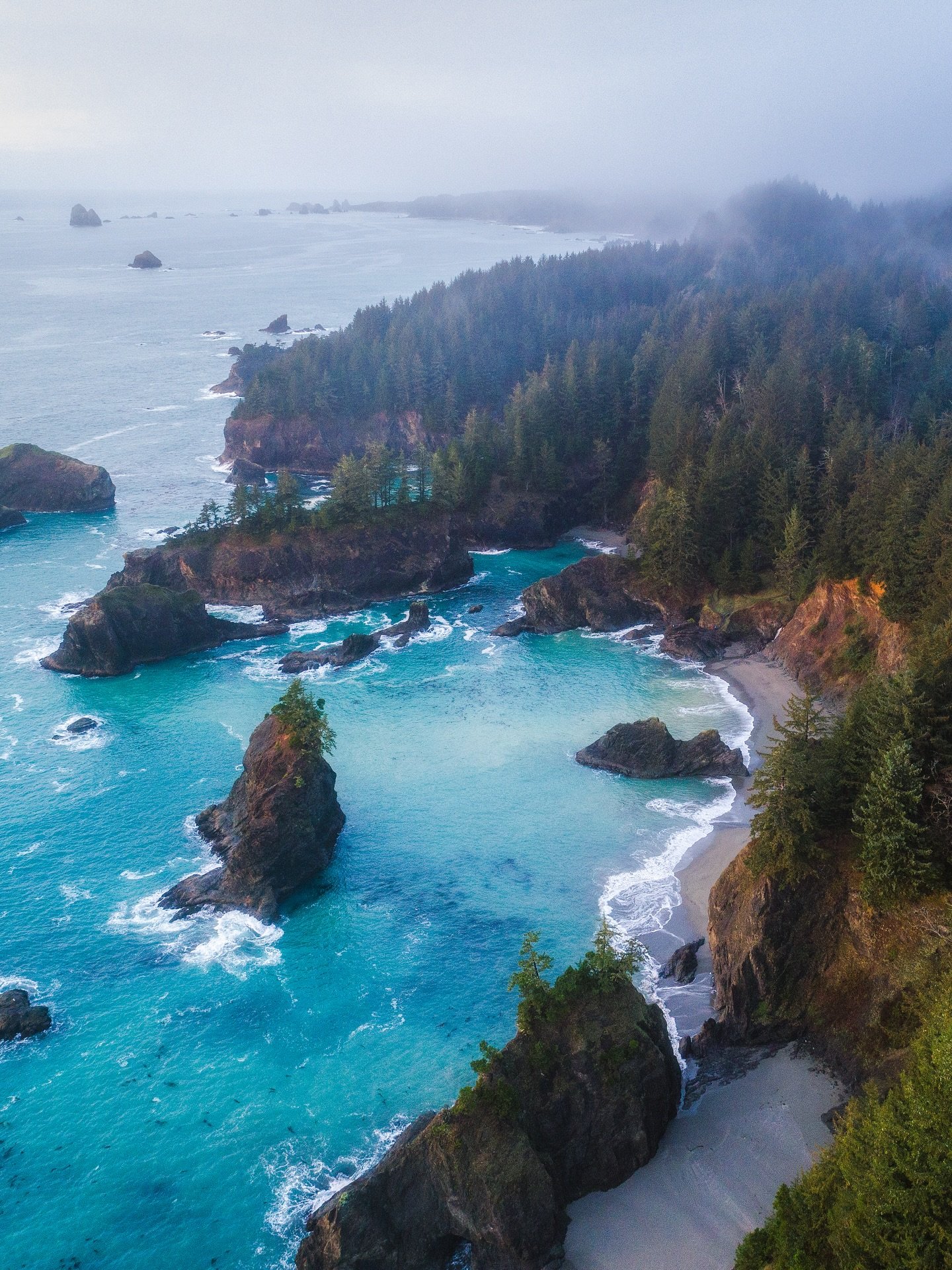 The wild and rugged Oregon Coast 🌊🌲☁️ 

The seastacks along this entire coast are truly such a unique sight!

10/10 would recommend a roadtrip down the Oregon Coast at some point 🙌