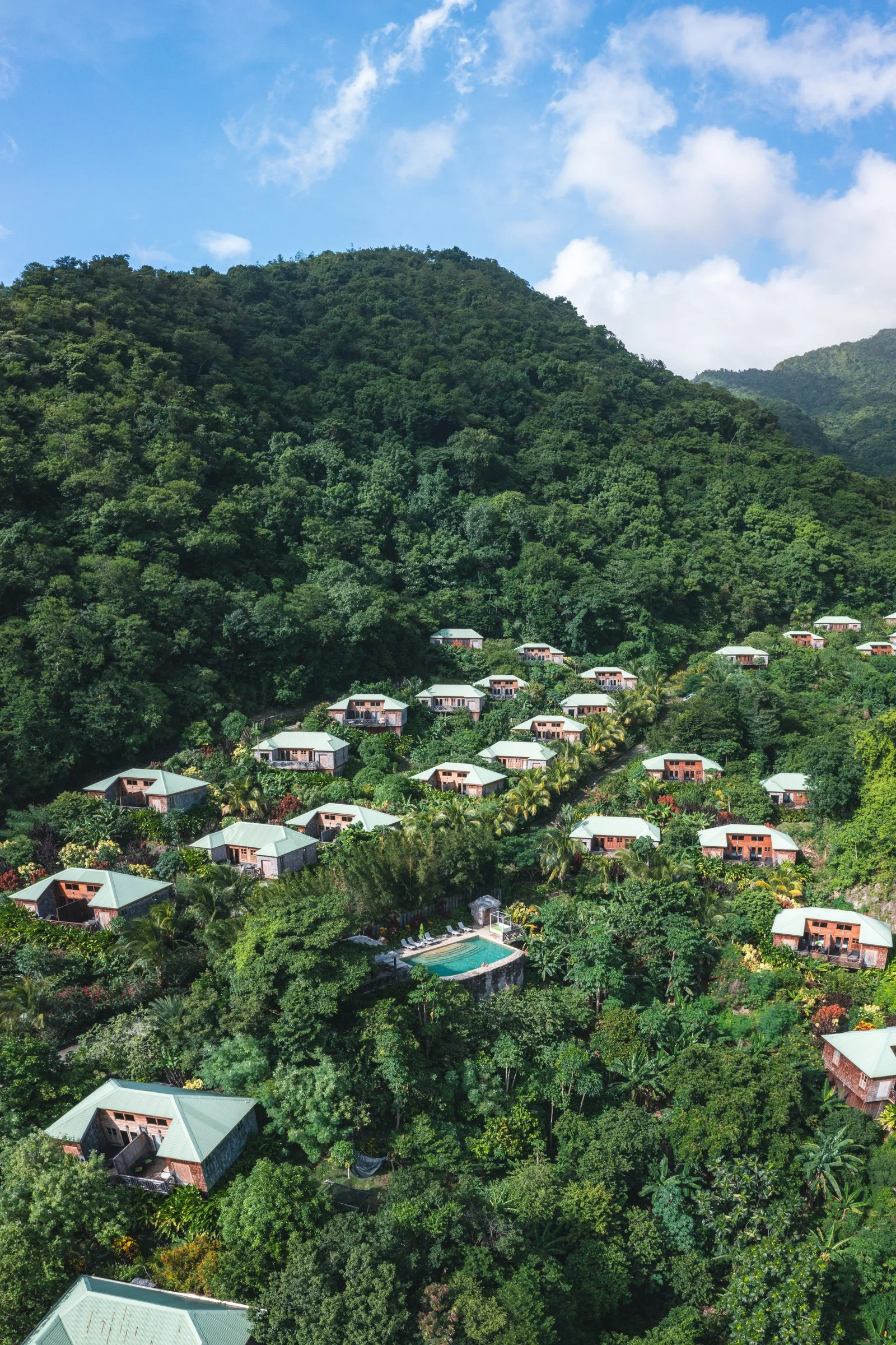 2025_10_10-15 Jungle Bay Dominica DRONE by Michael Matti-36-Pano.jpg