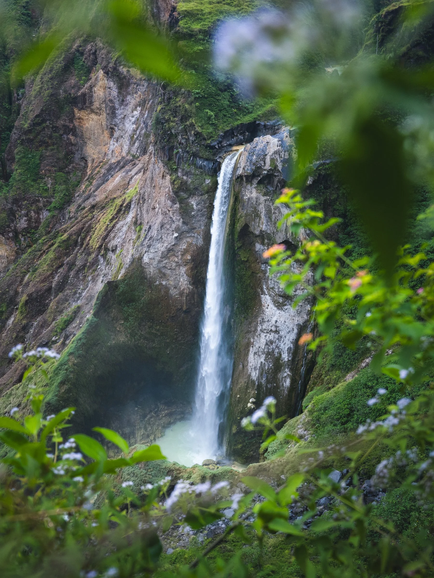 2024_06_01-07 Indonesia by Michael Matti-825.jpg