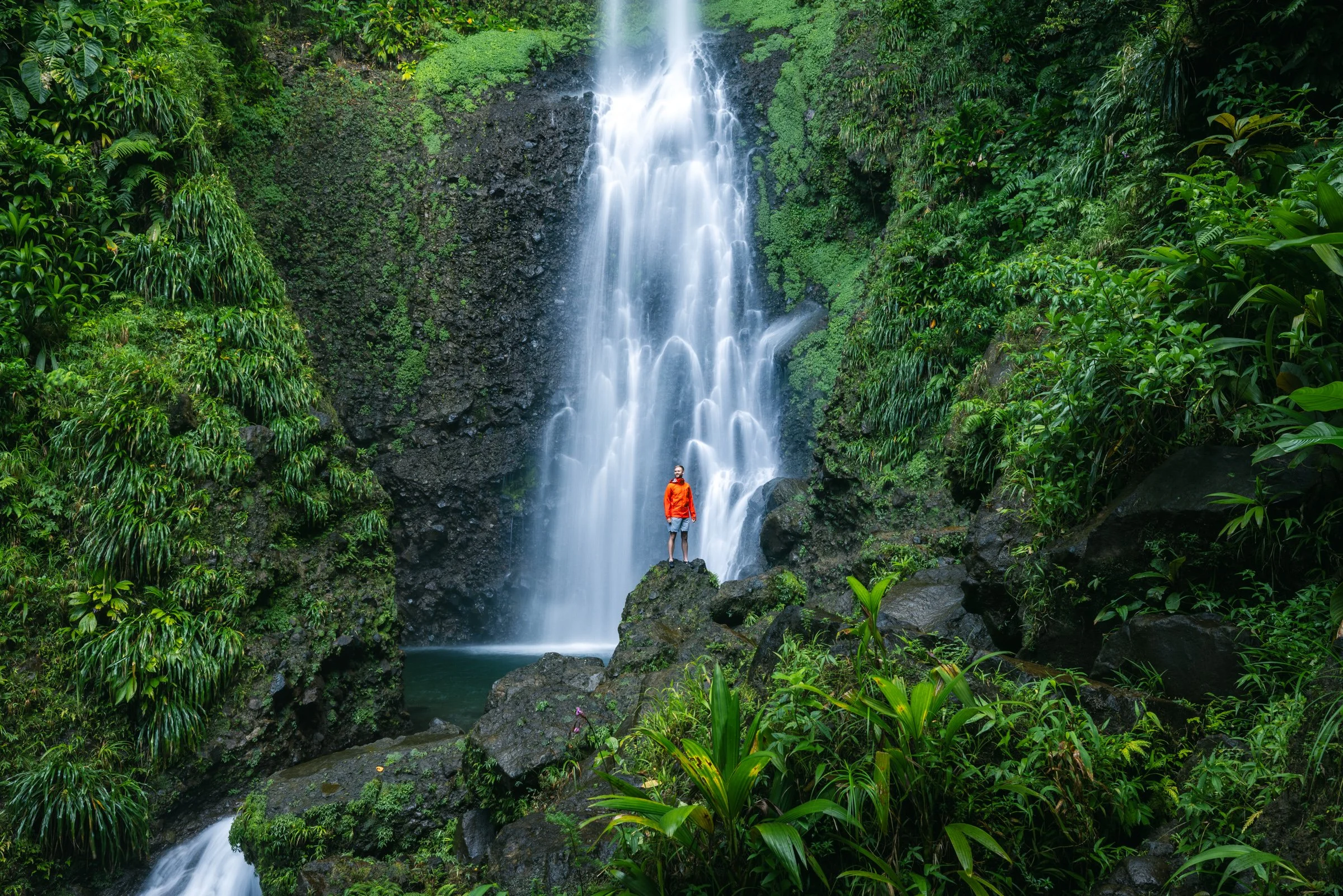2025_10_10-15 Jungle Bay Dominica by Michael Matti-921.jpg