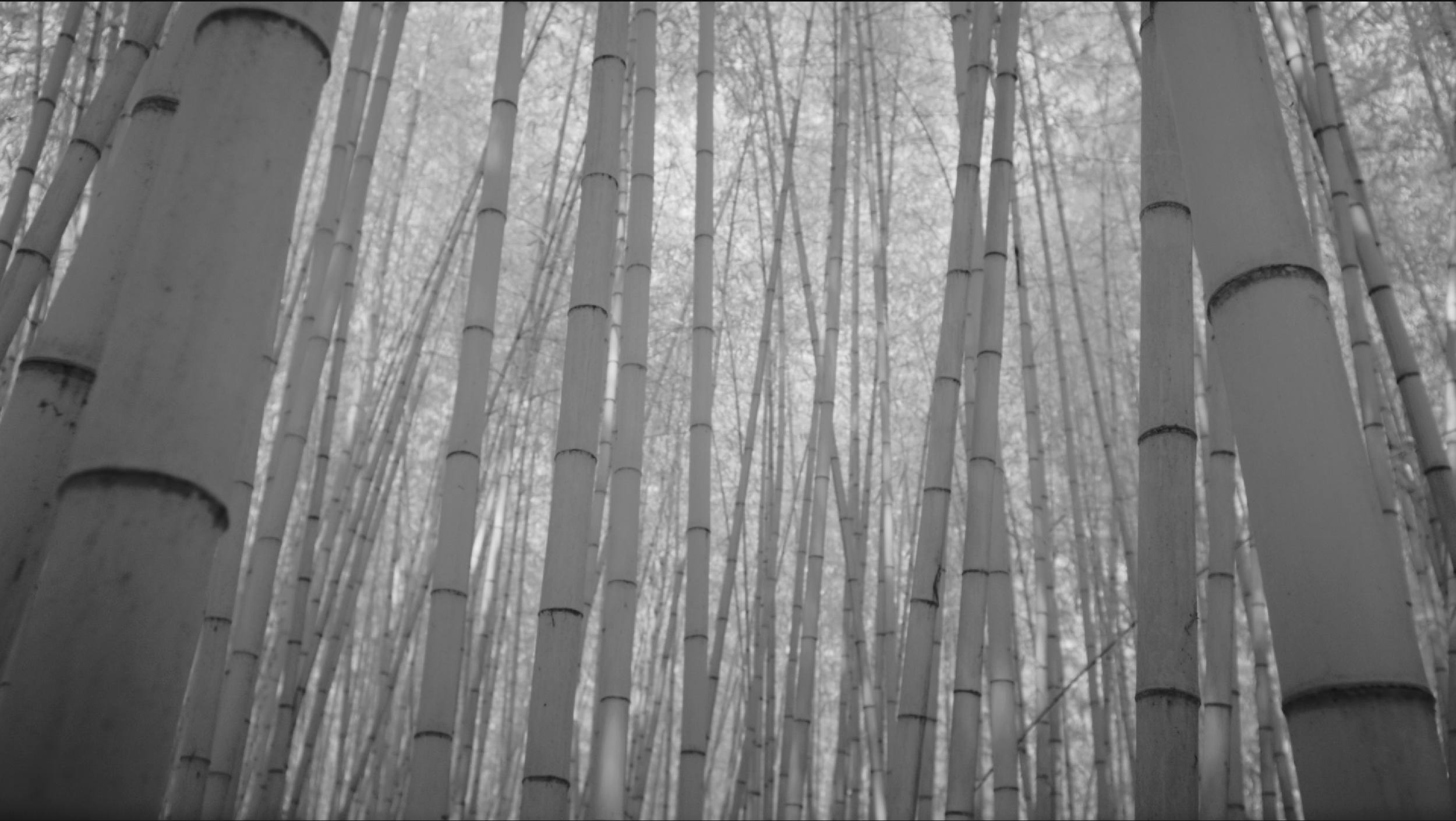 Screen Shot 2016-04-13 at 4.03.27 PM.png