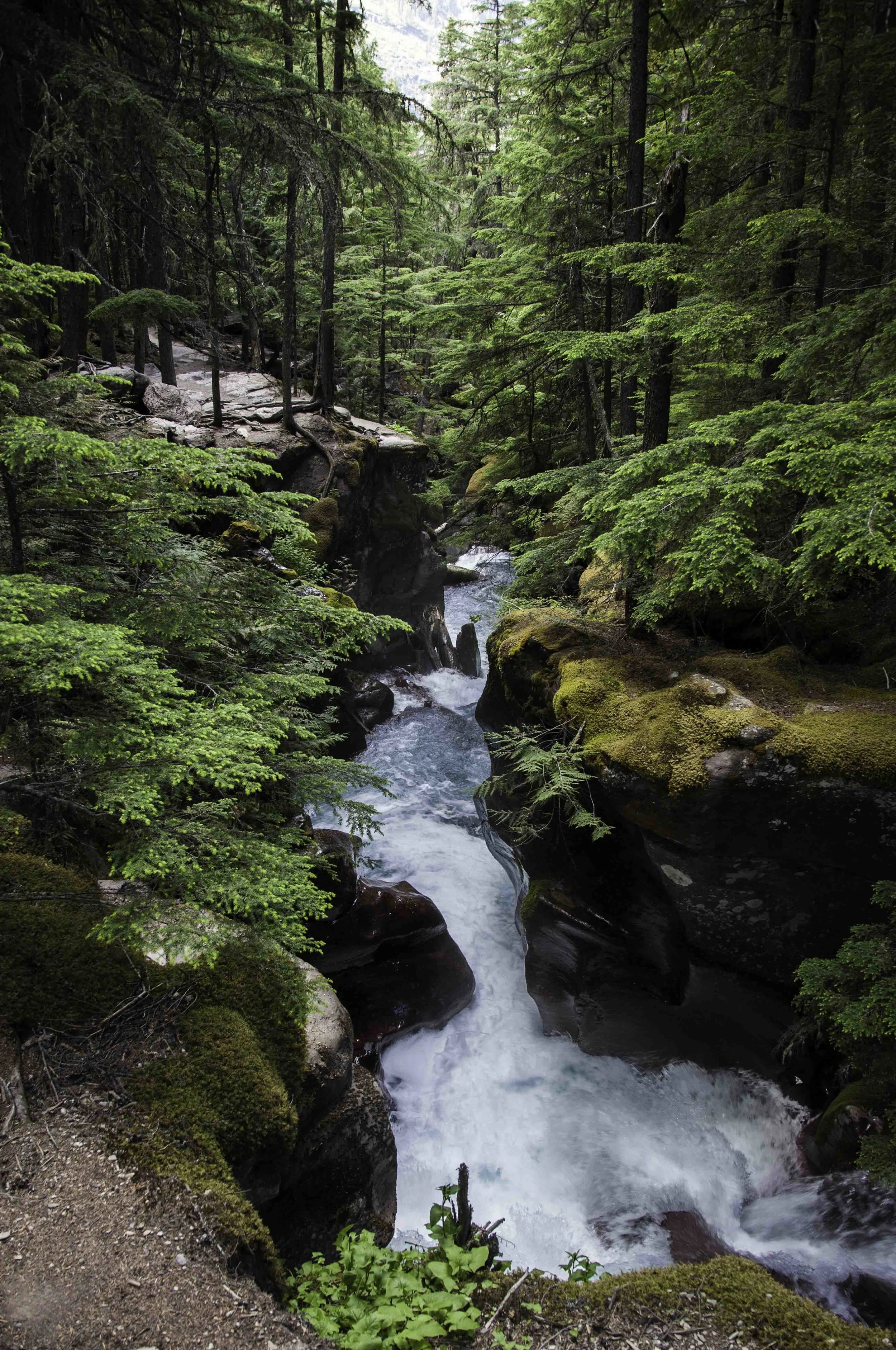 Gorge