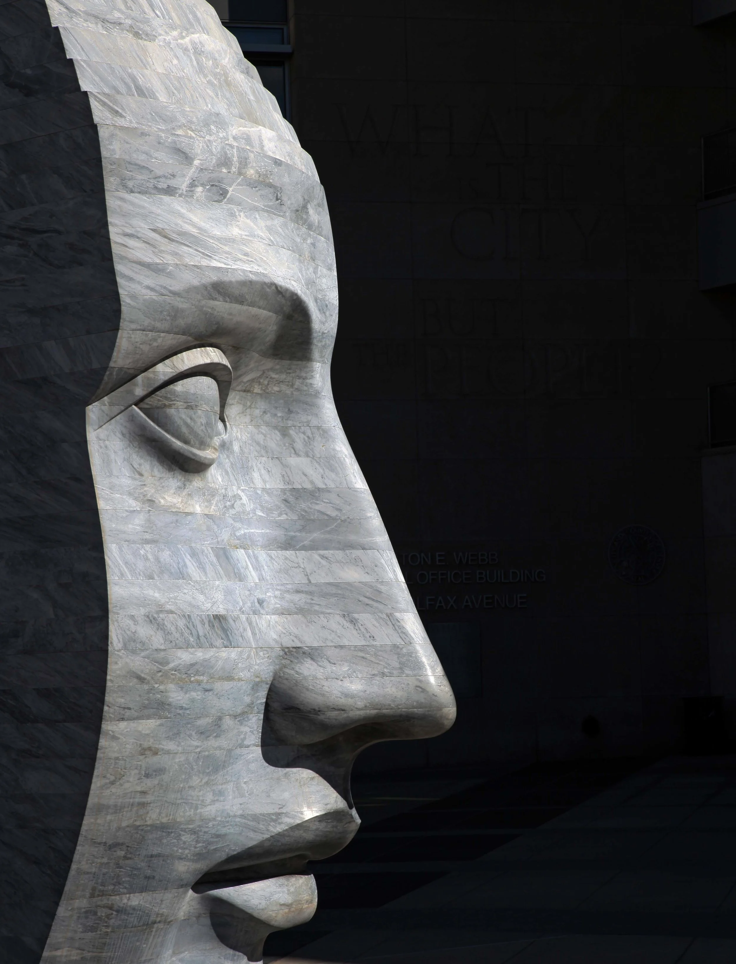 Stone Face!