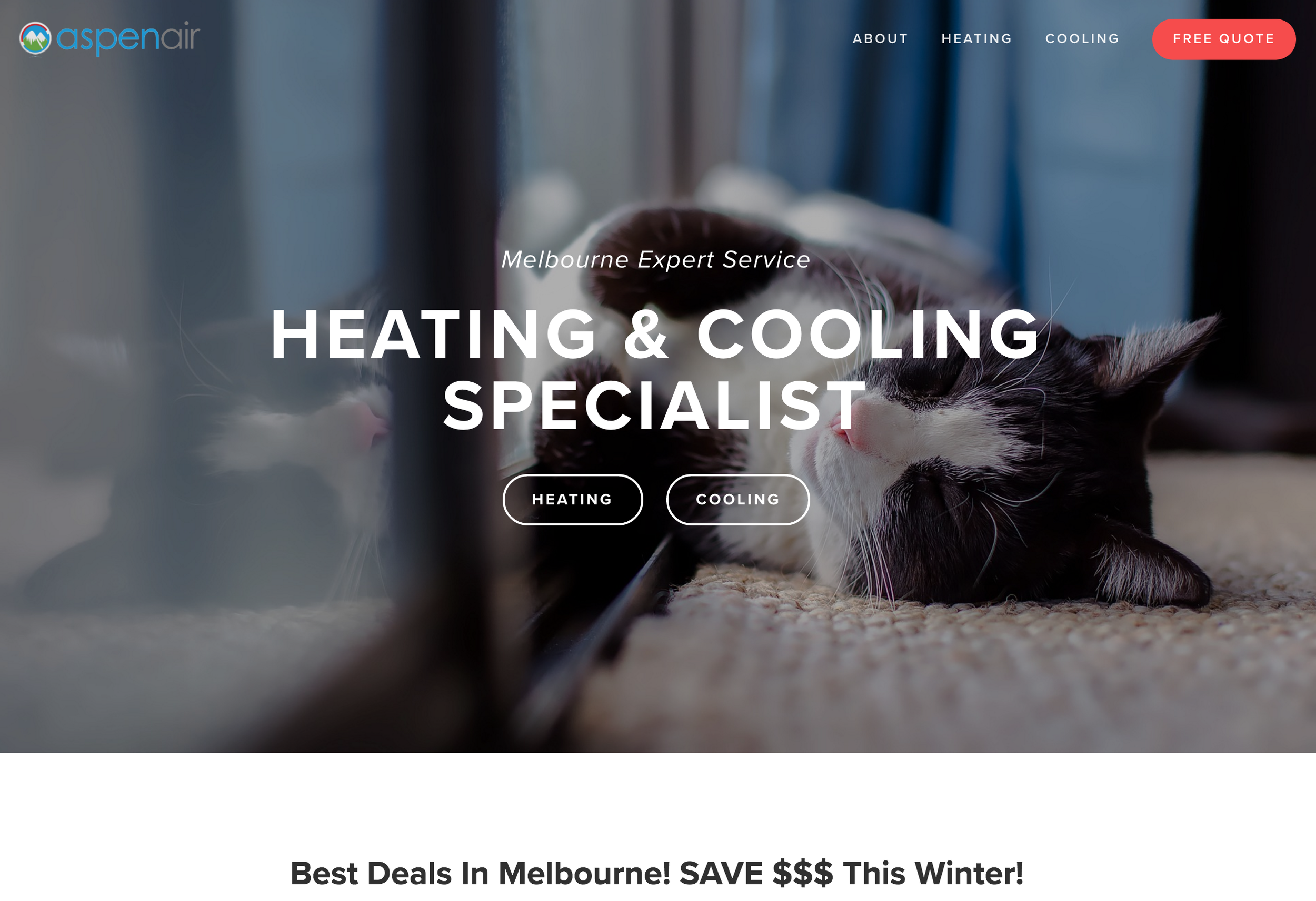 Website Creation