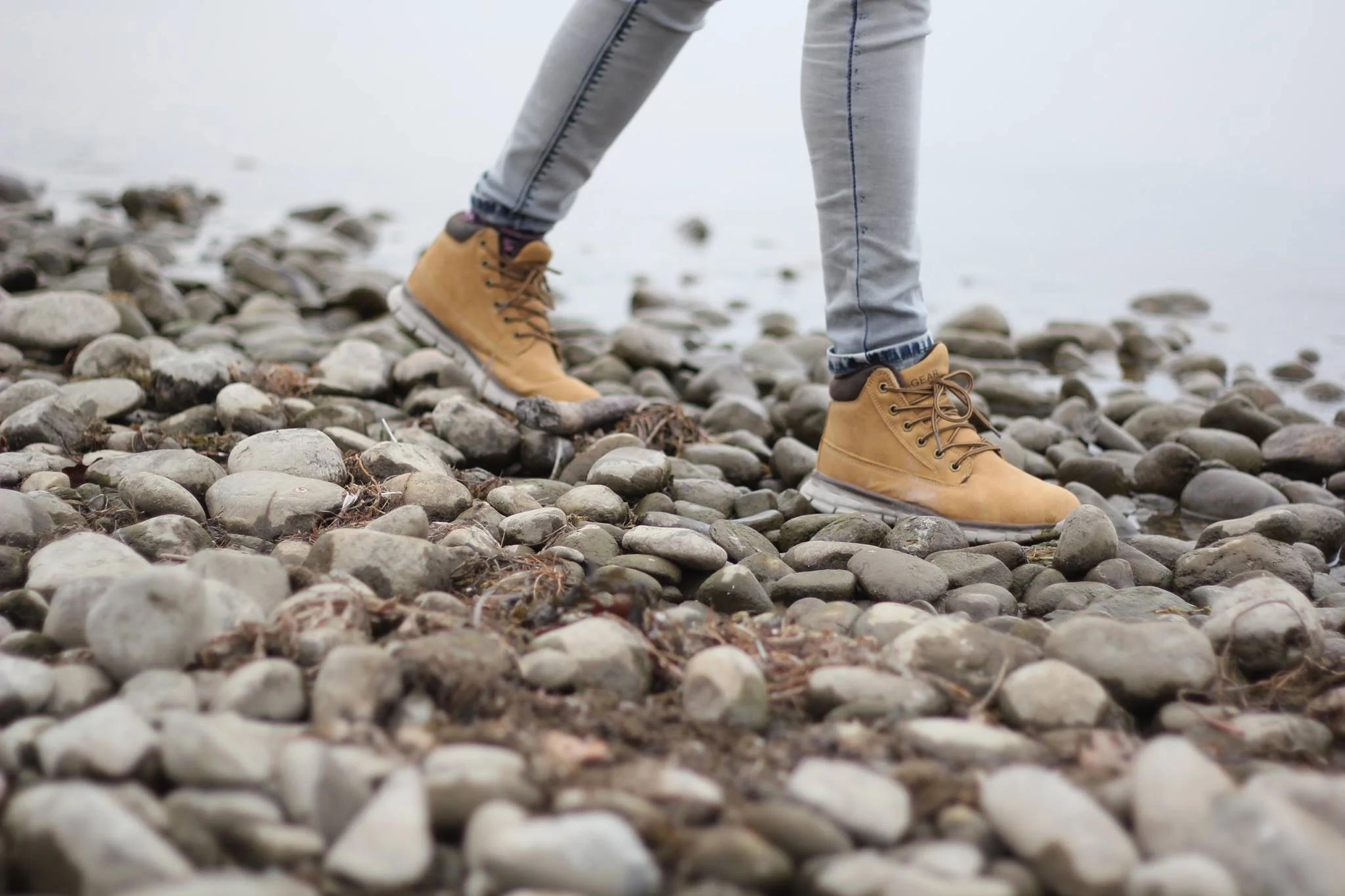Photo by Tamara Menzi on Unsplash