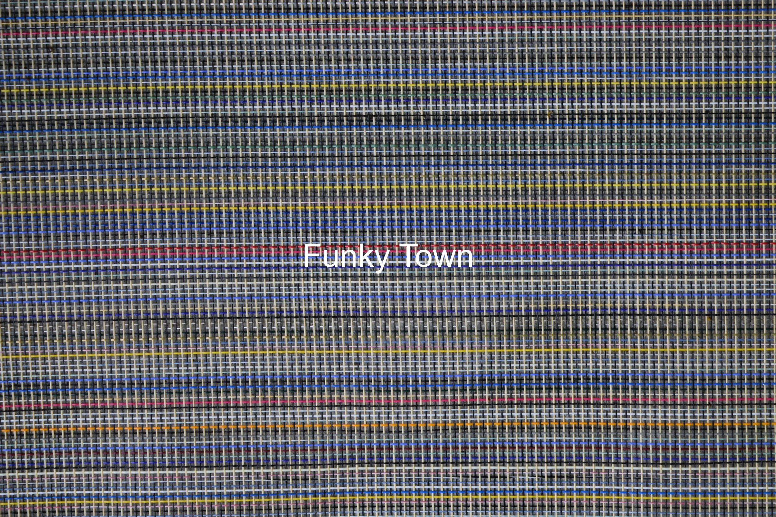 Funky Town.jpg
