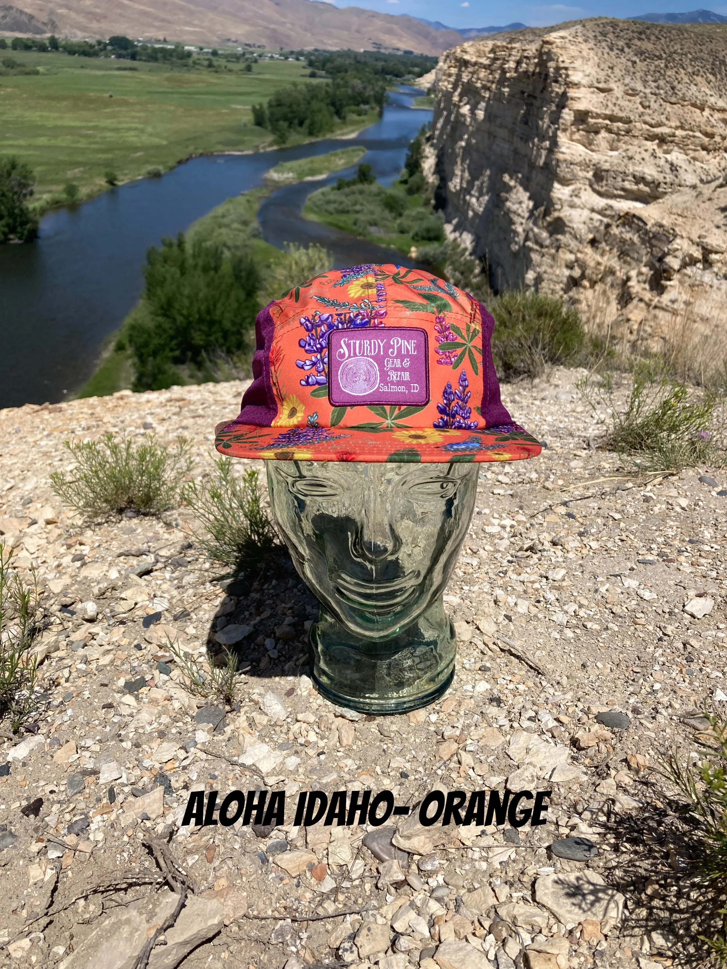 orange hat.jpg