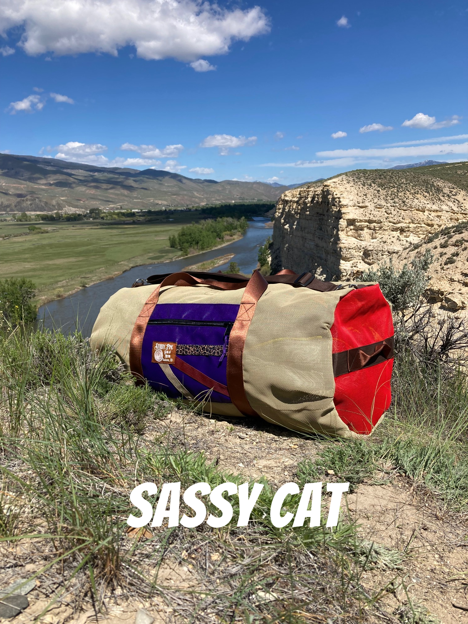 sassy cat font.png