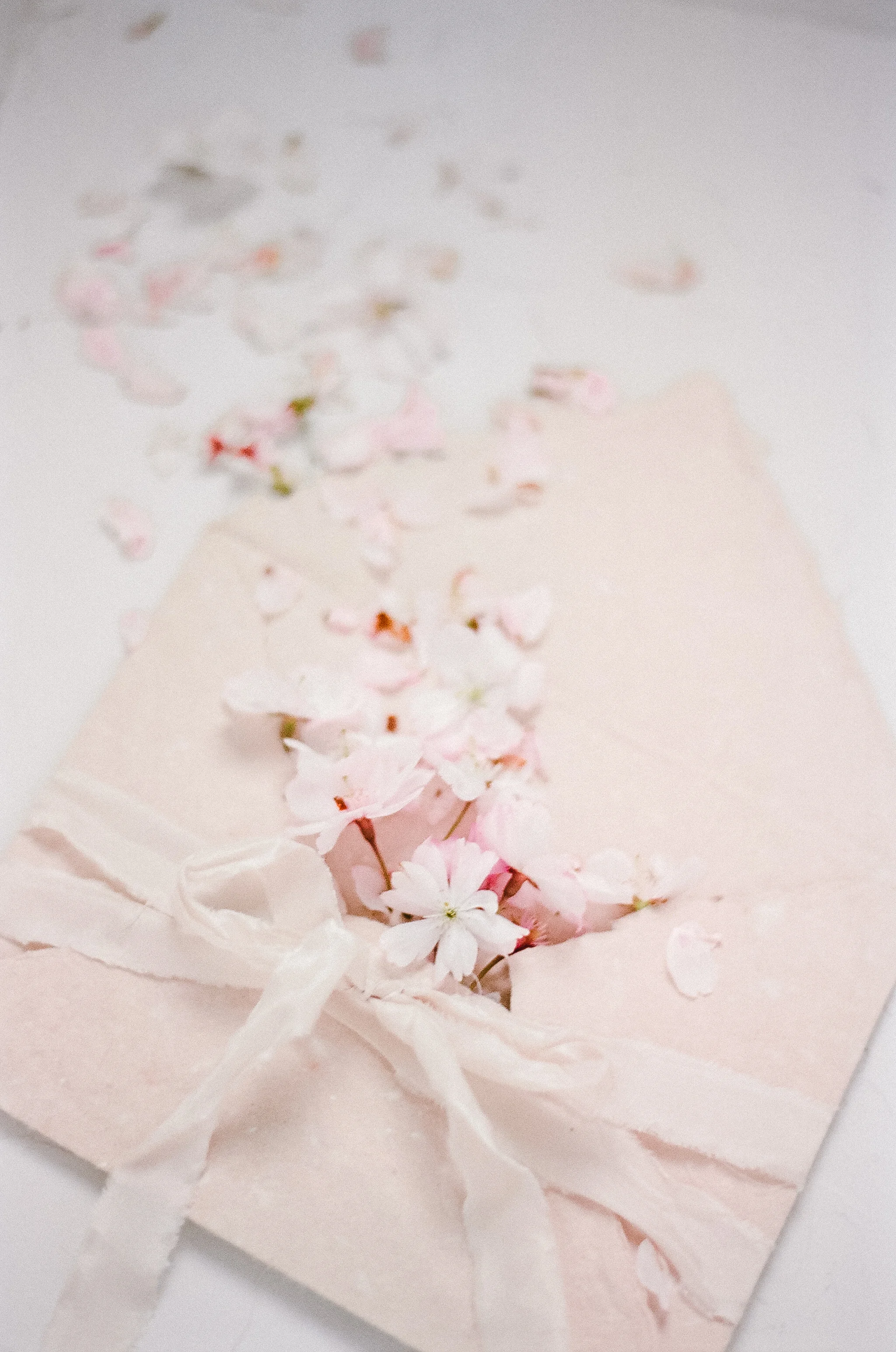PALERMOPHOTO-springshoot-139.jpg