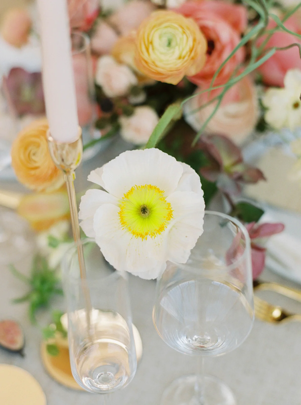 Abbie Tyler Photography (43 of 92)_websize.jpg