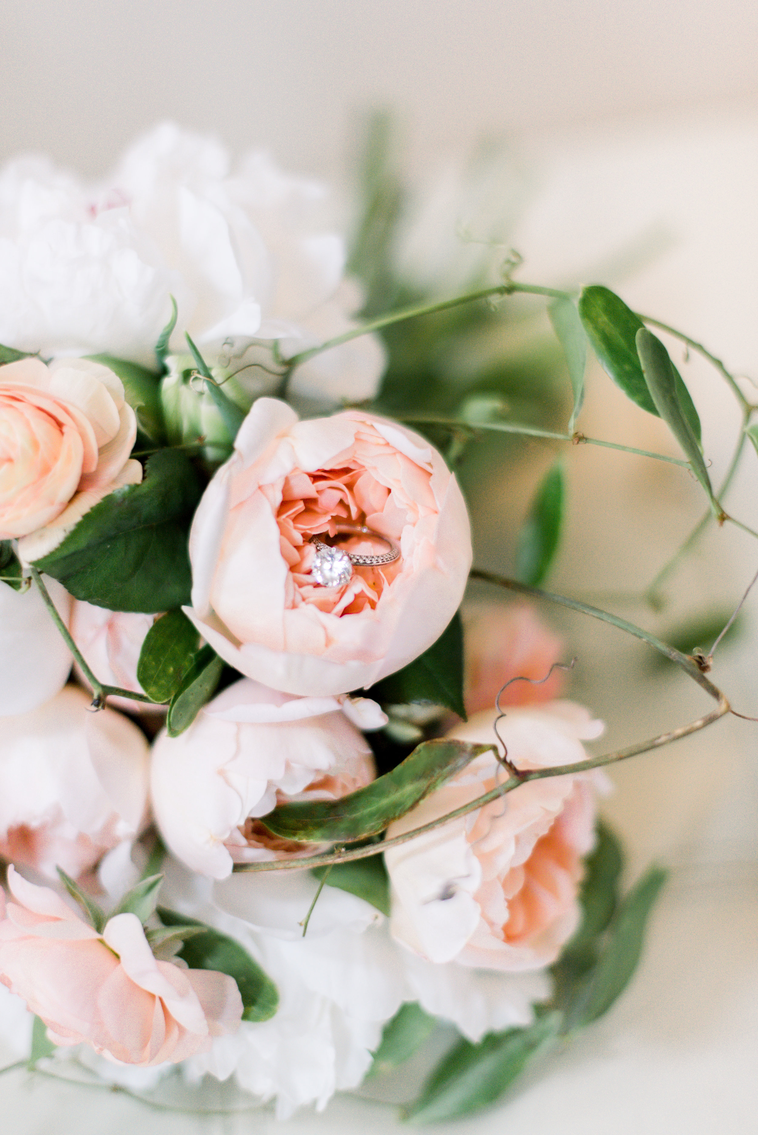 Flowers.jpg