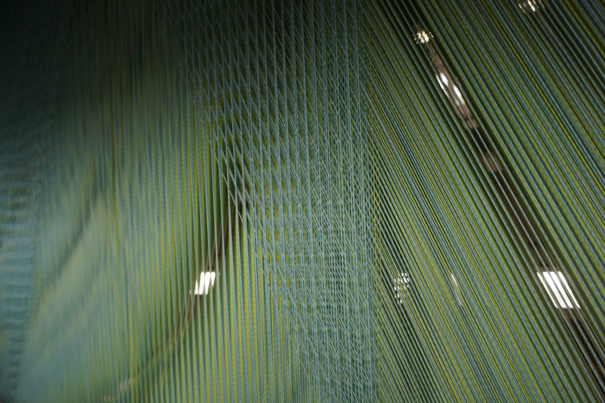 DSC07461.jpg