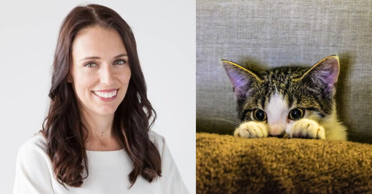 Jacinda and Kitten.png