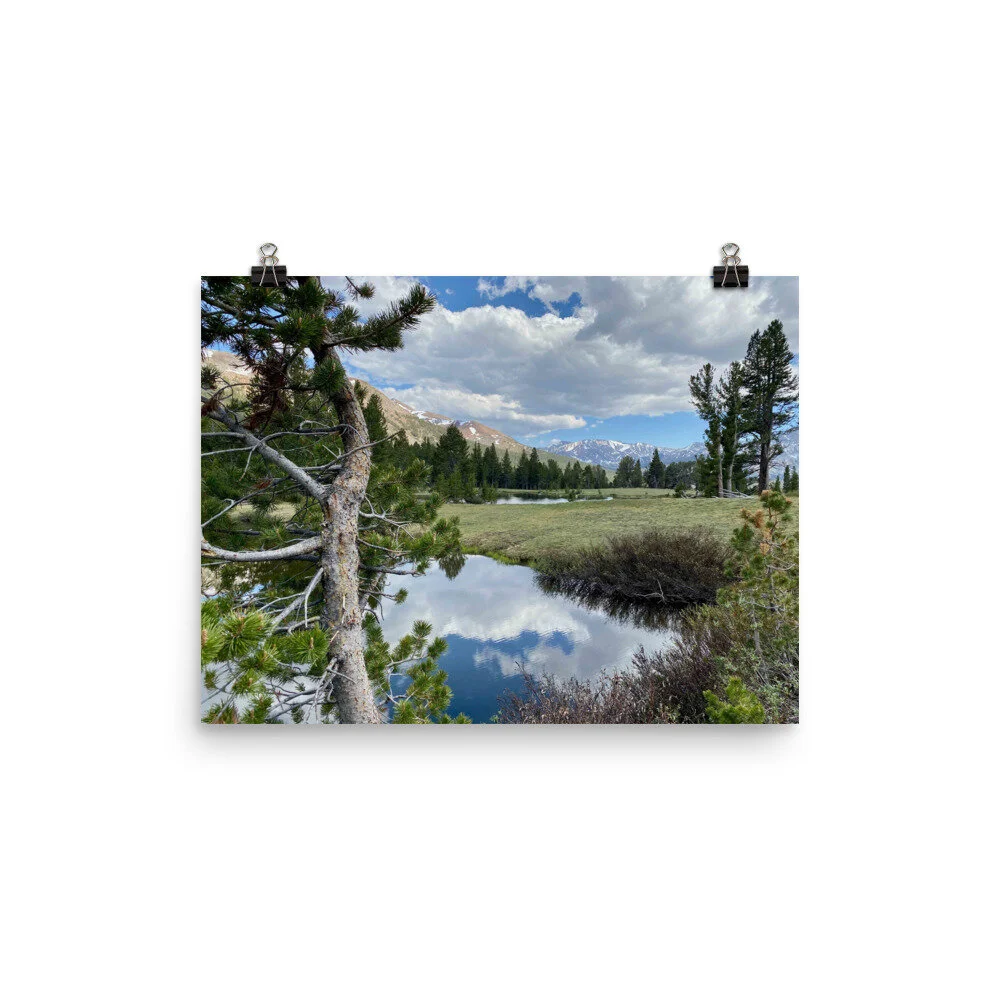 premium-luster-photo-paper-poster-(in)-12x16-transparent-601f31c5f30a8.jpg