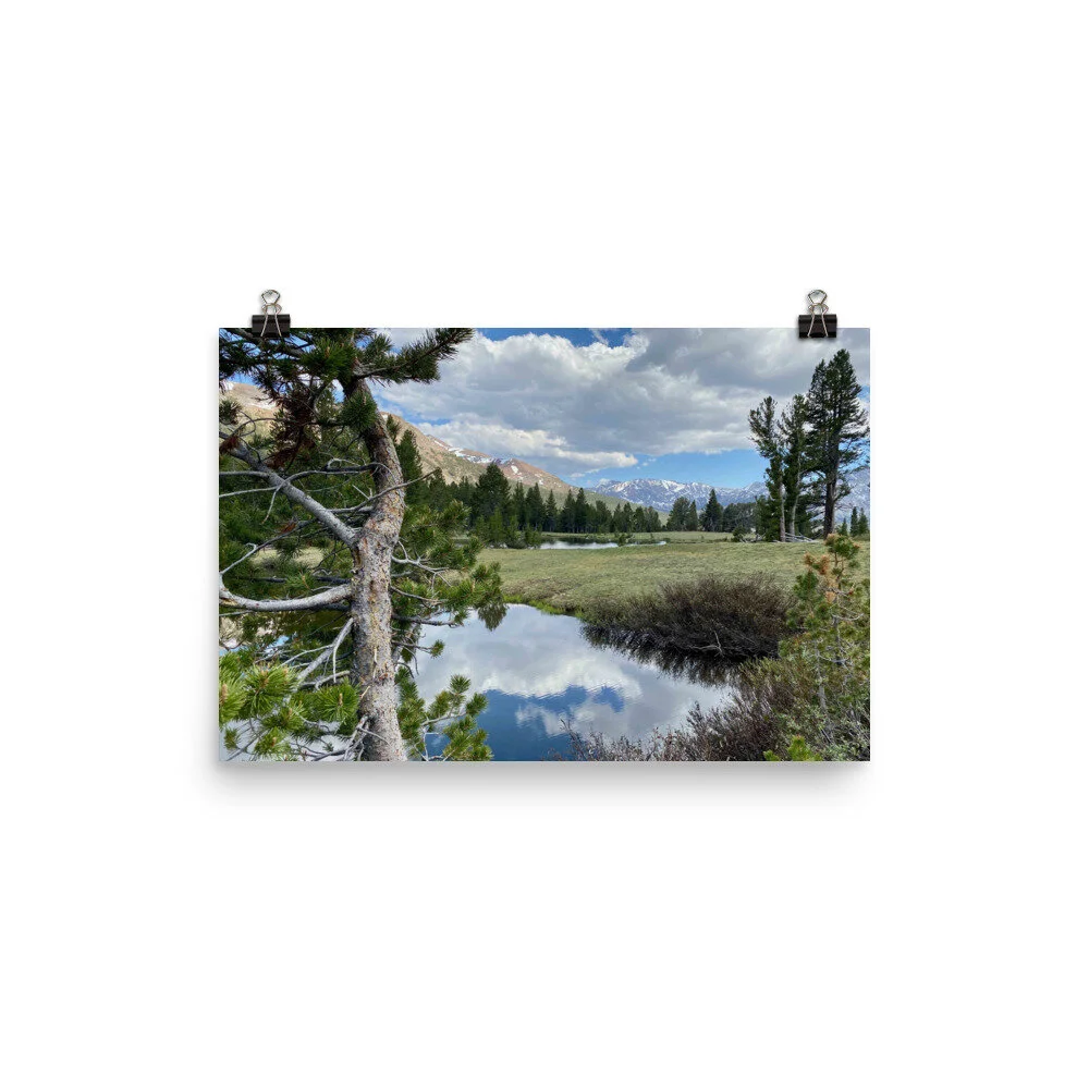 premium-luster-photo-paper-poster-(in)-12x18-transparent-601f31c5f3108.jpg