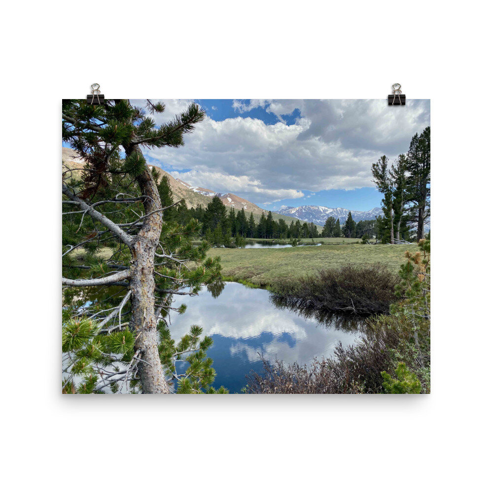 premium-luster-photo-paper-poster-(in)-16x20-transparent-601f31c5f323c.jpg